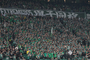 homepage structure overview